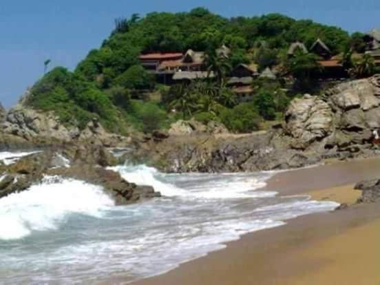 Shambhala Vision in Mazunte