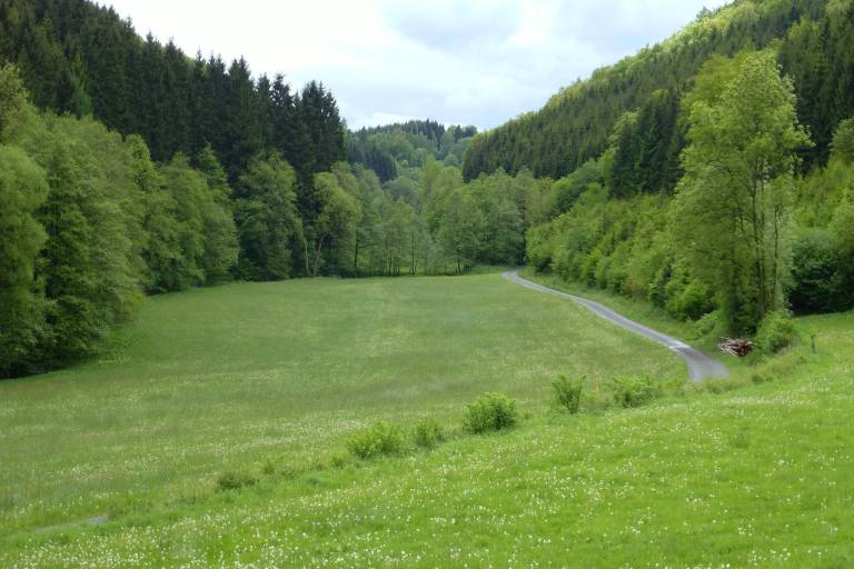 foto23