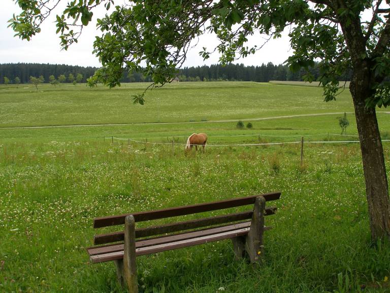 foto14