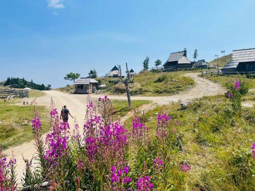 koča Velika Planina