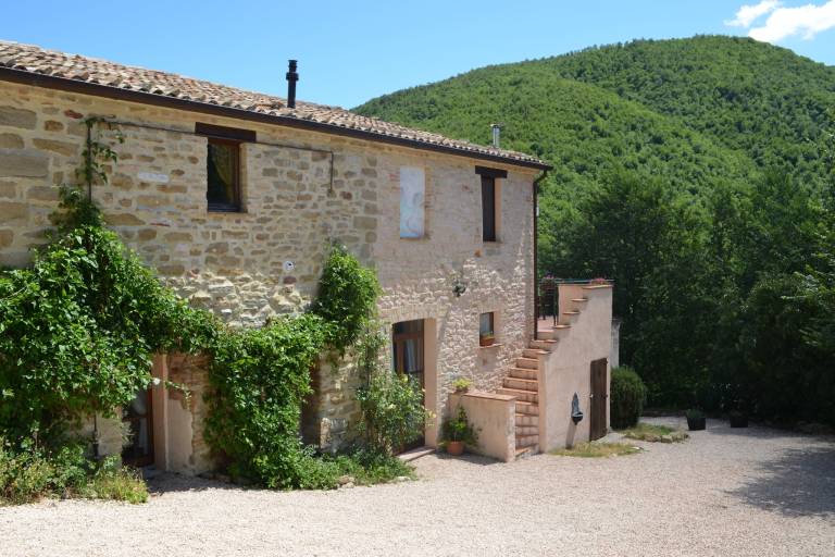 Holiday apartment with terrace & yard | Nature view | Dogs allowed — photo 2