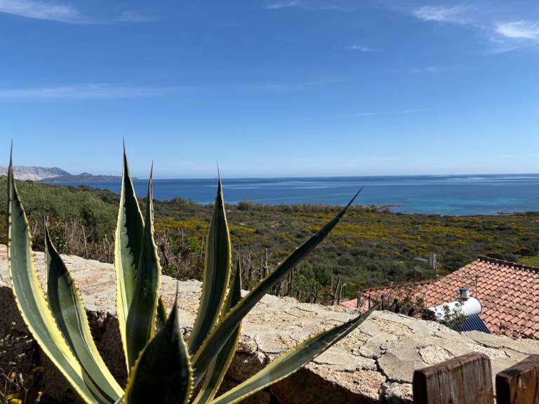 Casa Luddui