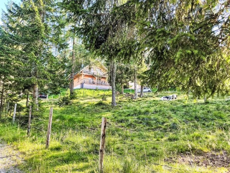 Ferienhaus in Hochrindl-Alpl, Hochrindl für max. 8 Personen