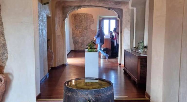 B&B Il Grillo — photo 4