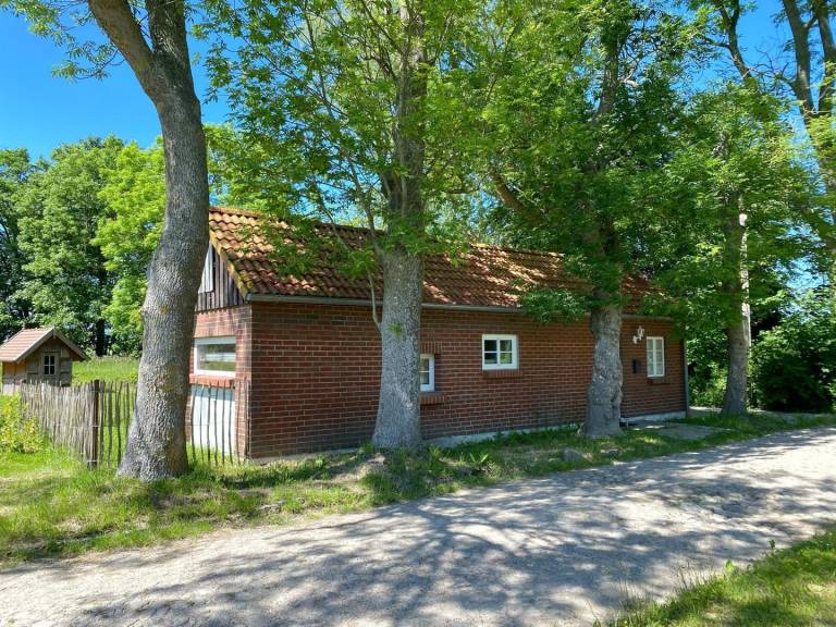 foto16