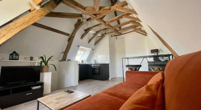 Beautiful apartment | Pets allowed in Bourges