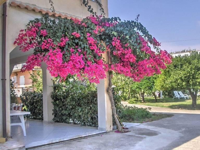Casa  Marina di Casal Velino