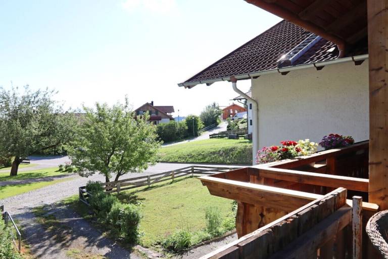 foto4