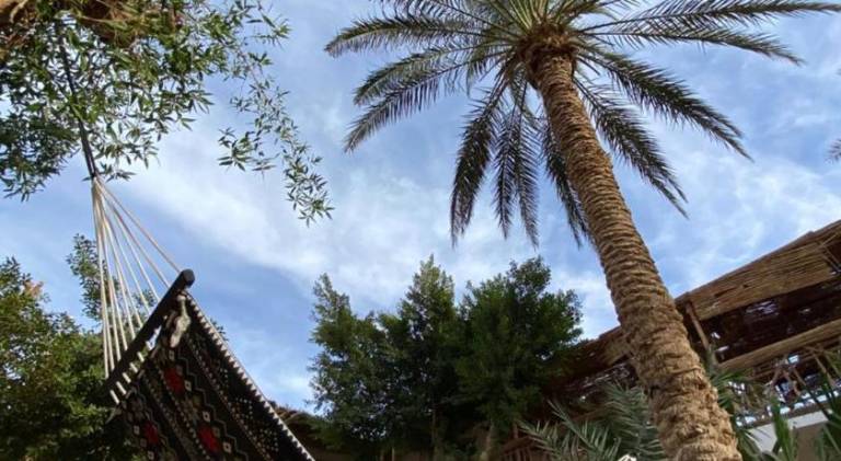 Sunrise Dahab lodge — photo 2