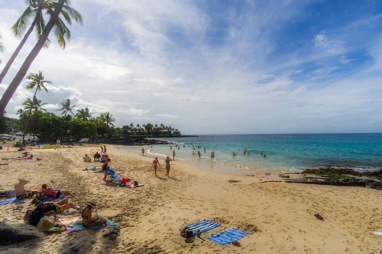 House  Holualoa