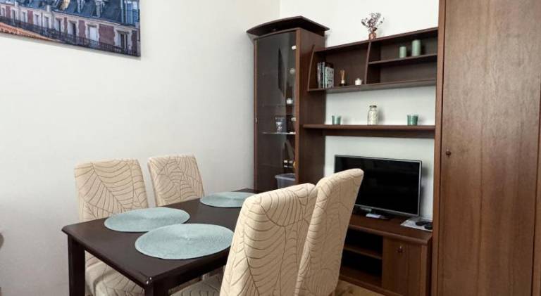 Rental apartment | Next to Cathedral of St. Peter and Paul | Perfect for remote work | Pets are welcome in Brno