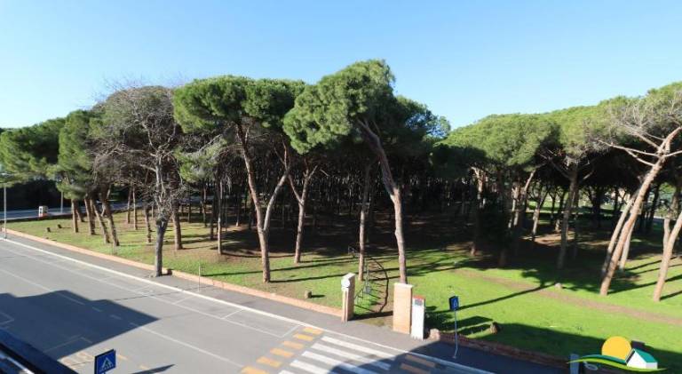 Rental apartment with 2 rooms for 6 persons in Follonica