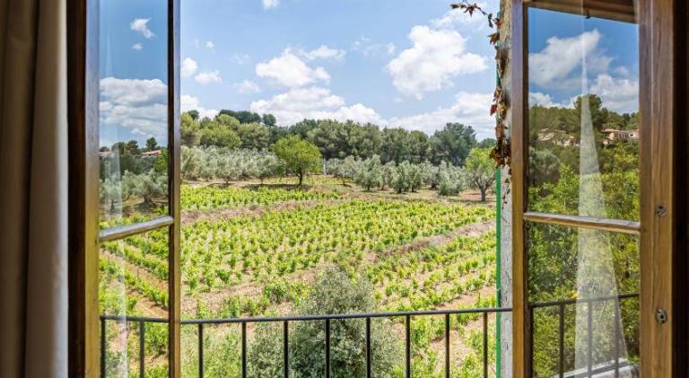 La Bastide des Saveurs — photo 5