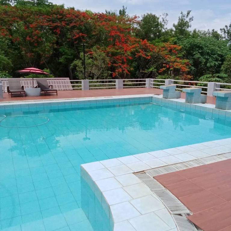 Bungalow with pool, BBQ & garden | Suitable for remote work | Pet-friendly — photo 2