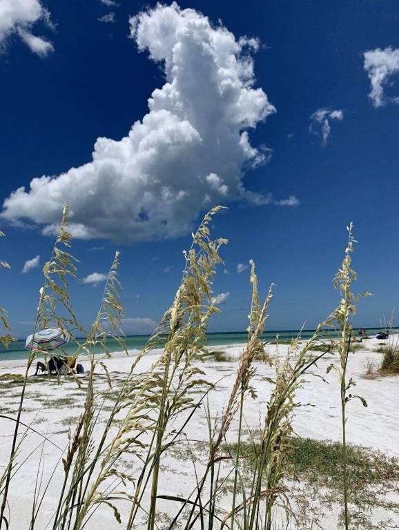 Condo  North Sarasota