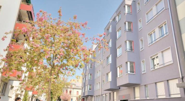 Apartment Wiedikon