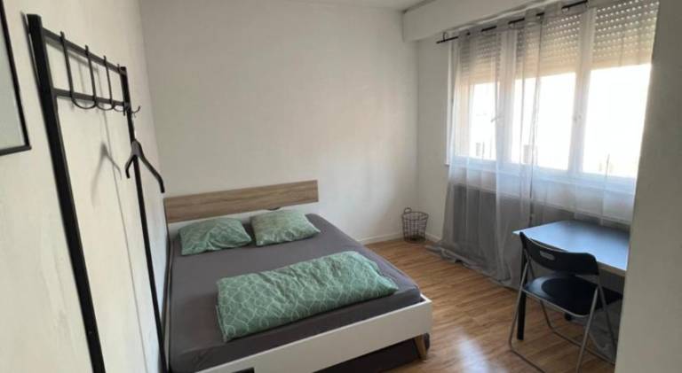 Apartment | Next to Strasbourg Cathedral | Pets are welcome in Ostwald