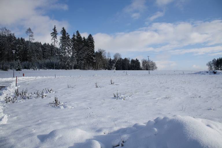 foto31