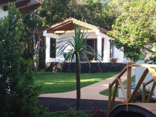 foto9