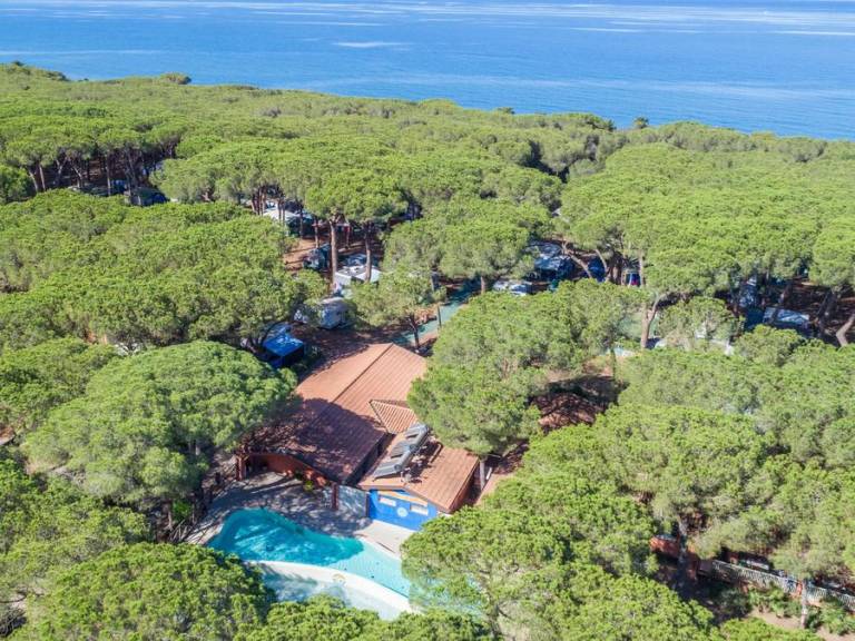 Lodge  Albinia