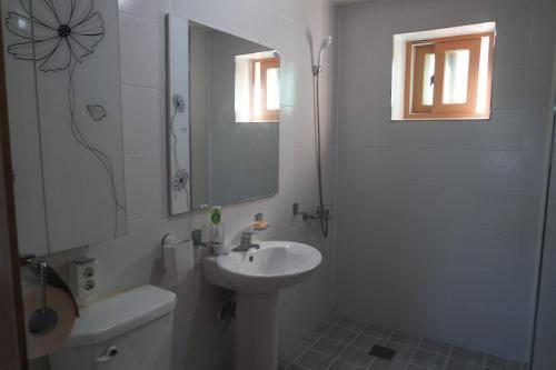 foto10