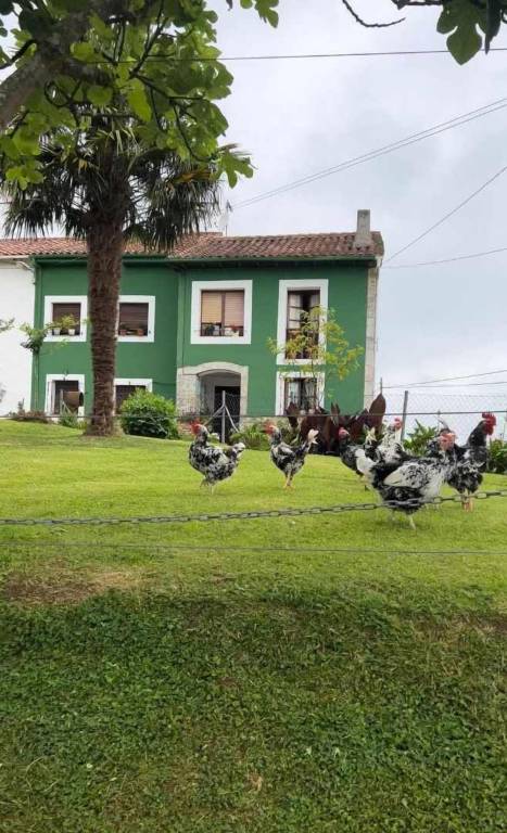 Casa Colombres