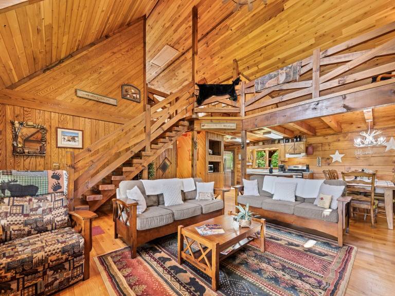 Cabin Lake Junaluska