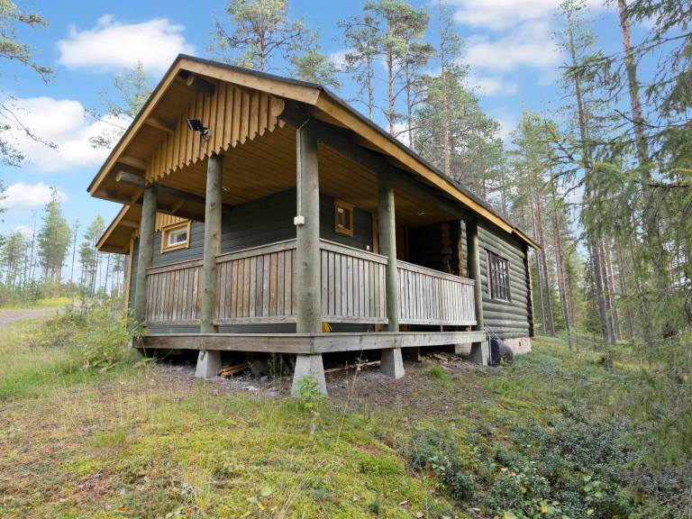 Vacation home with sauna — photo 3