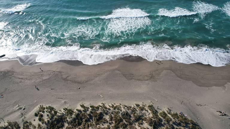 House Bodega Bay
