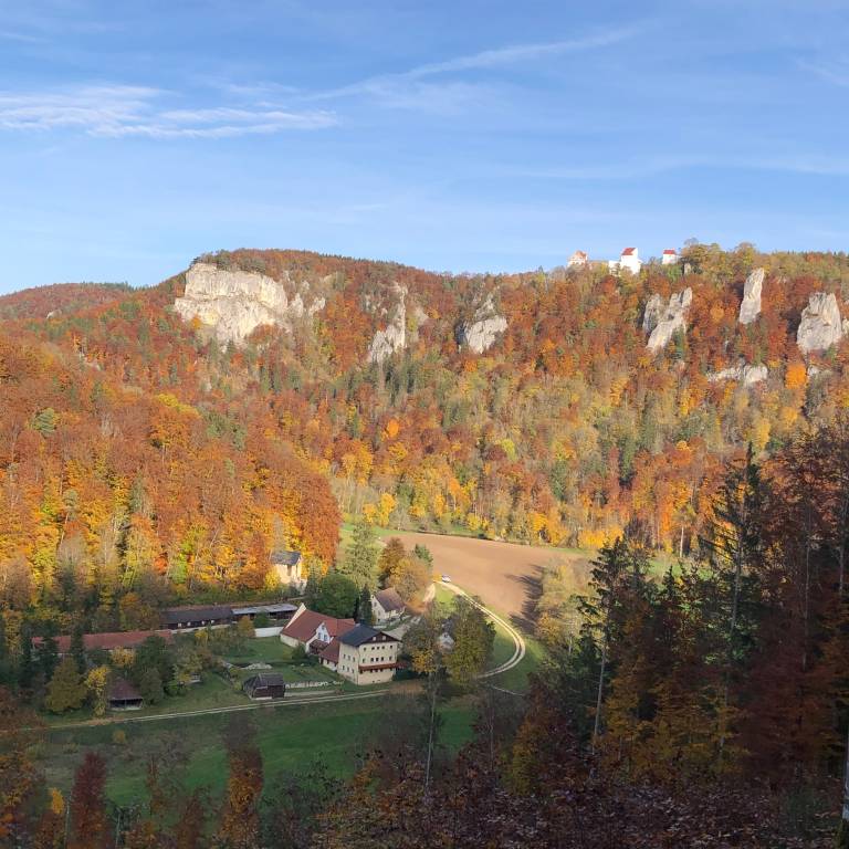 foto23