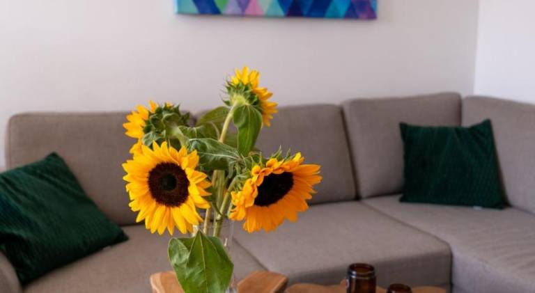 Rental apartment with patio, garden & grill — photo 5