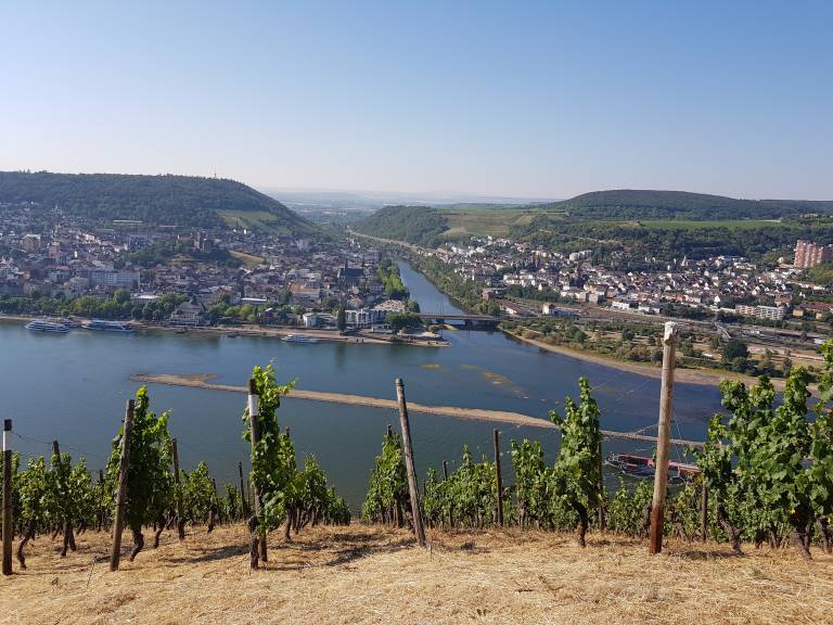 foto1