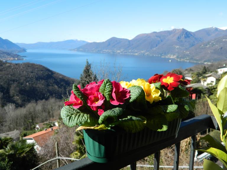 Appartamento Veddasca