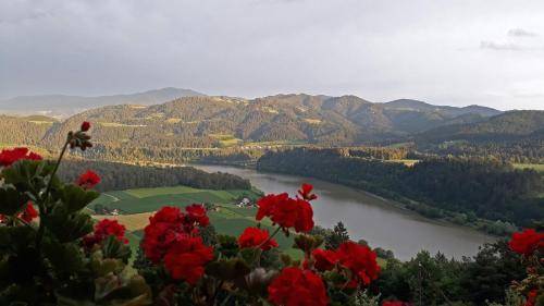 Prenočišče z zajtrkom Gortina