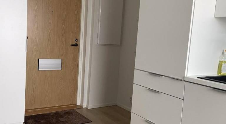 Pleasant holiday apartment | Close to Arktikum Science Museum | Dogs allowed — photo 4