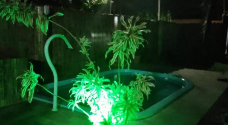 foto7