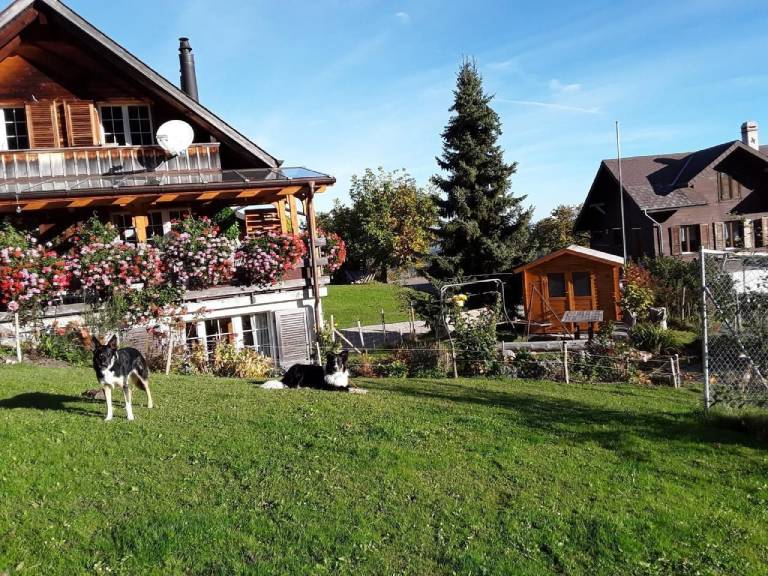 foto10