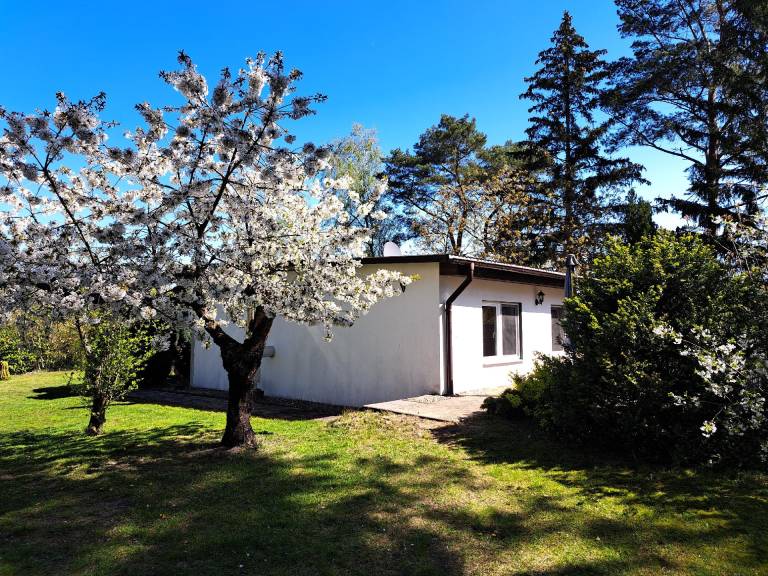 Ferienhaus mit Hund in Altwarp Siedlung für max. 2 Gäste