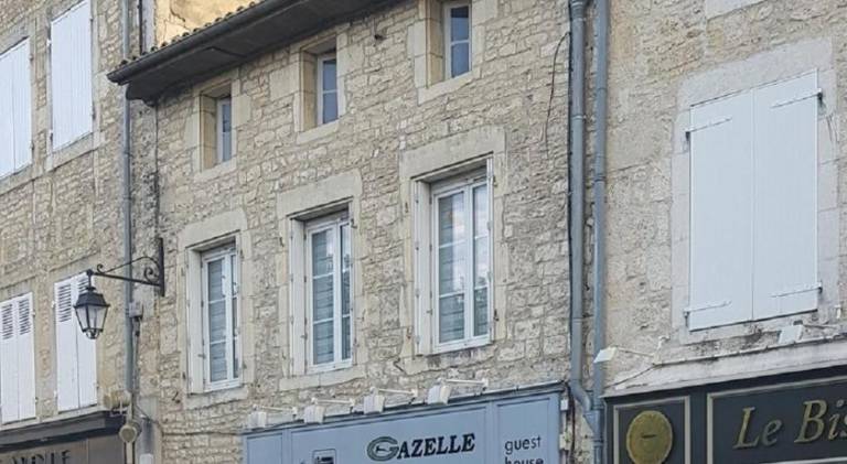 Gazelle Guest House and Art Gallery
