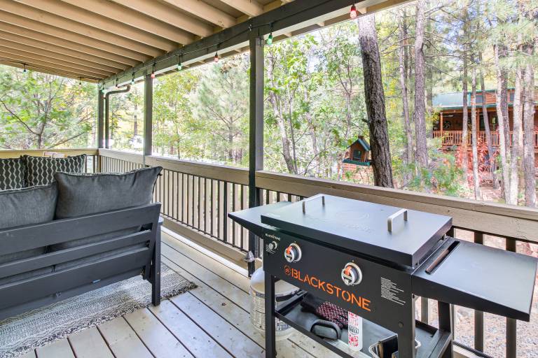 Pet-Friendly Show Low Cabin w/ Trail Access! — photo 4