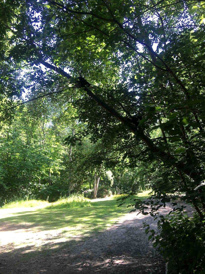 foto8