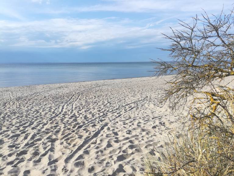 foto16