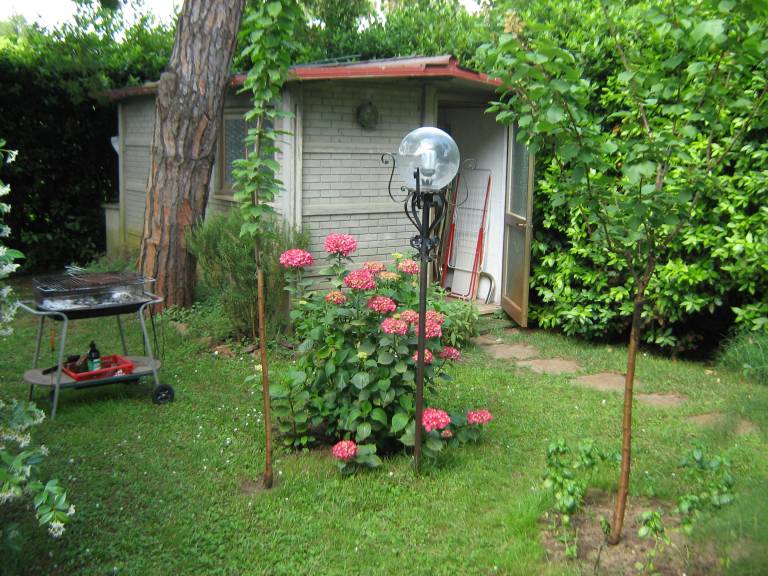 foto14