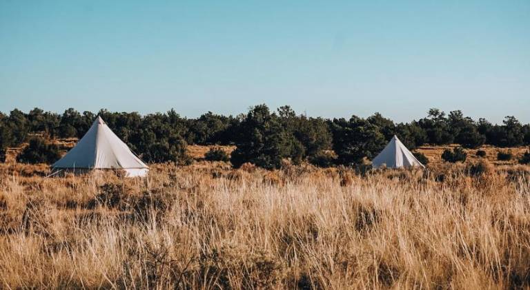 Wander Camp Grand Canyon — photo 5