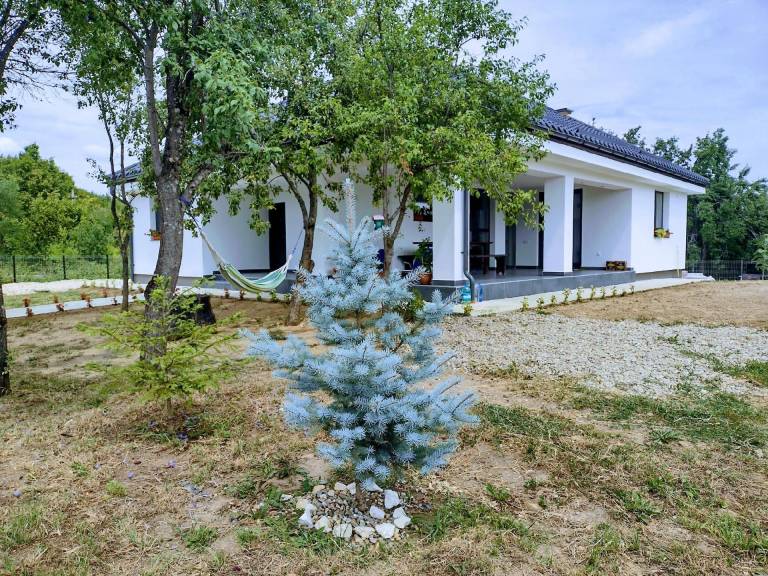 Ferienhaus Boiu Mare