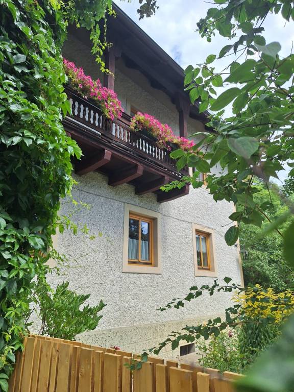 foto19
