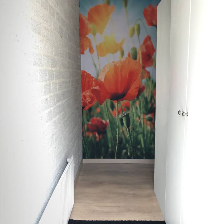 foto17
