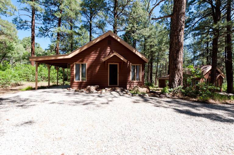 Pet Friendly Cabin on 3.5 acres between Durango and Purgatory - Fire Pit — photo 2