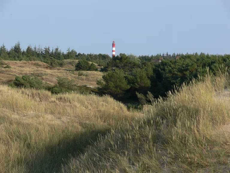 foto18