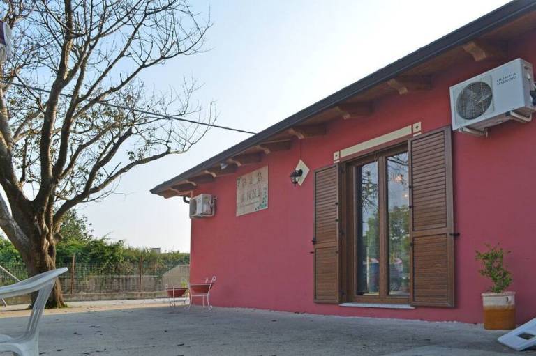 foto11